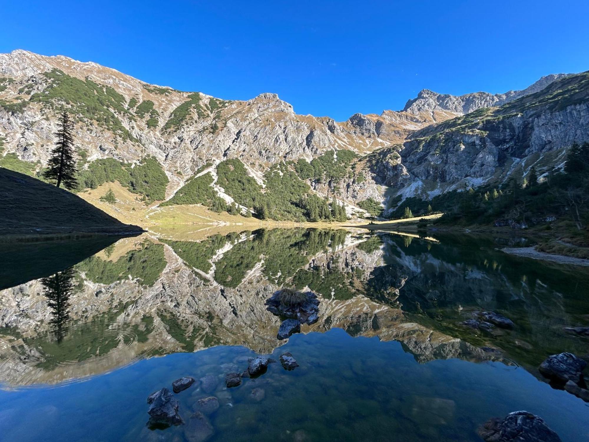Lejlighed Fraeulein-fink - Alpsee 5 Min - Neue Grosszuegige Suedterrasse Mit Garten - Gratis Wlan - Waschmaschine - Garage *