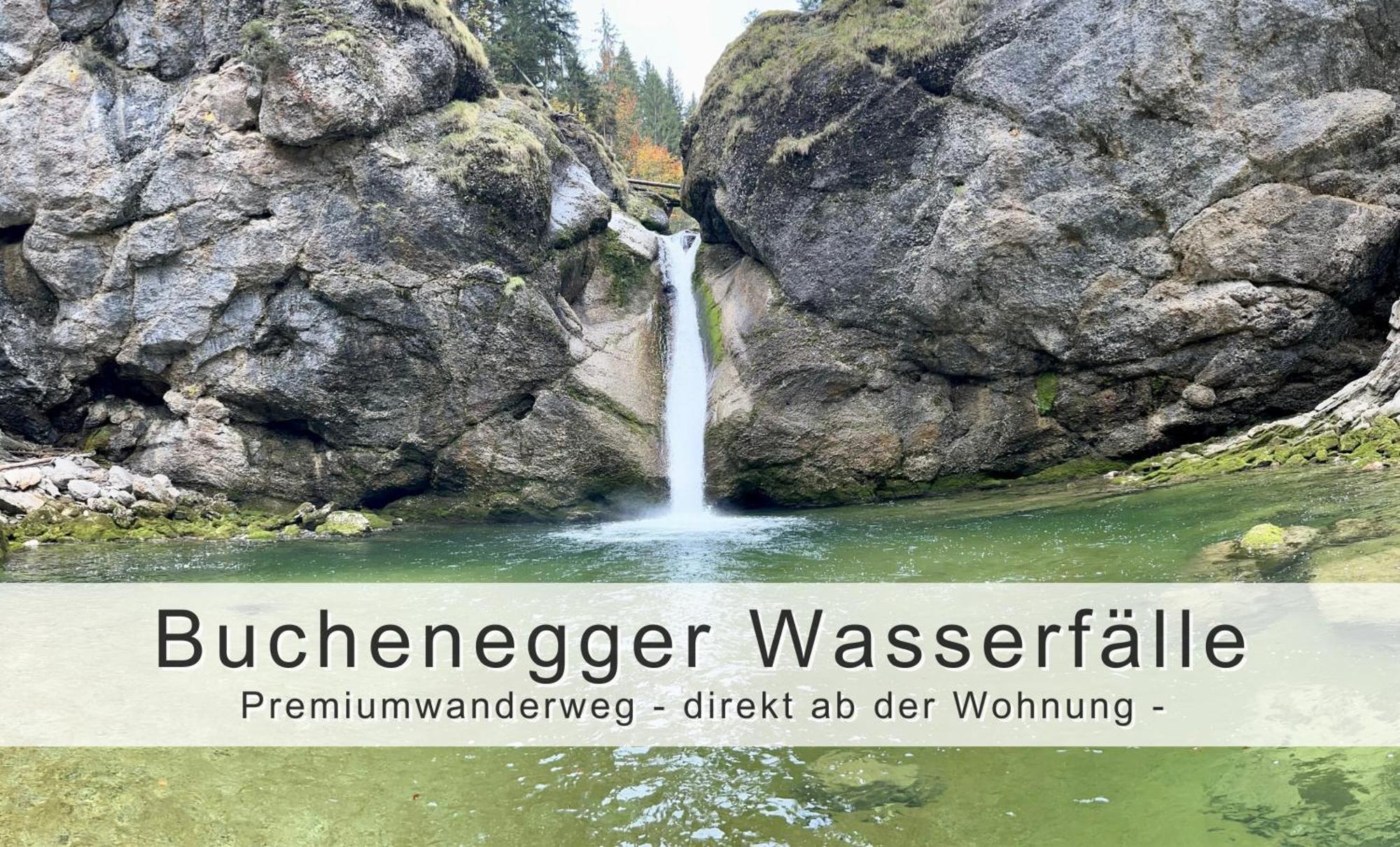 Fraeulein-fink - Alpsee 5 Min - Neue Grosszuegige Suedterrasse Mit Garten - Gratis Wlan - Waschmaschine - Garage *